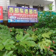 湖南省懷化市摩配市場 (7)